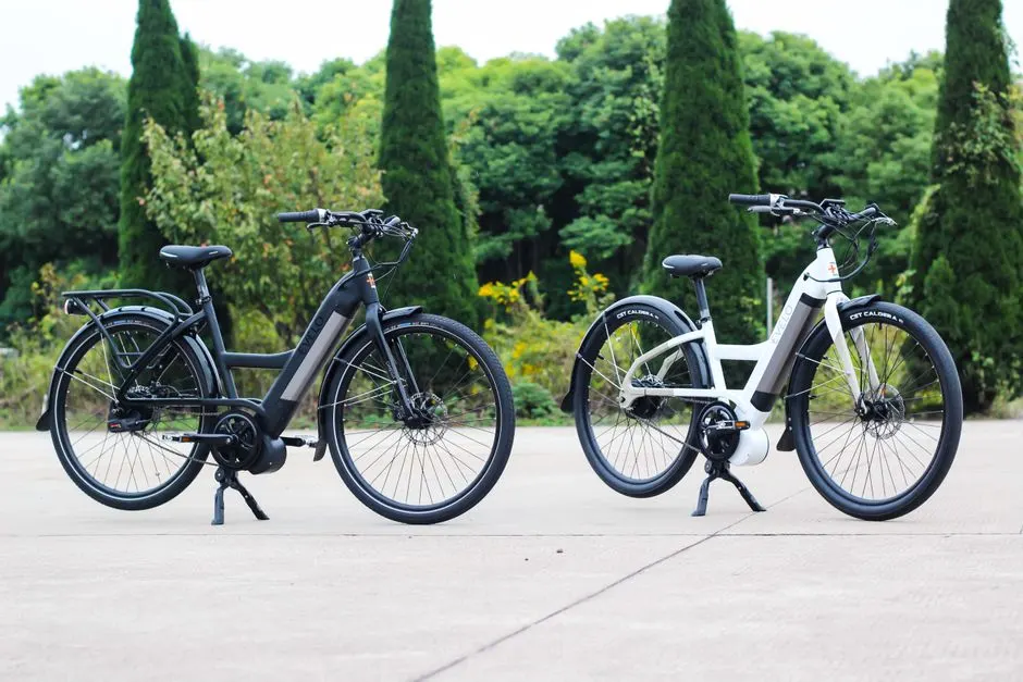 Top ventes voitures électriques 2026 en France