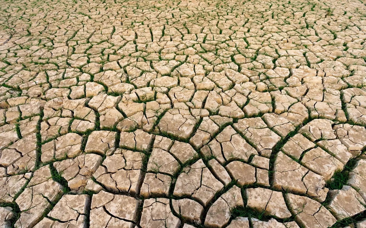 Comment la crise climatique remodèle l'économie mondiale bien au-delà des catastrophes visibles — Relier réchauffement climatique et inégalités économiques